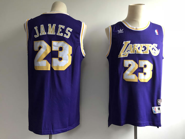 Lakers 23 Lebron James Purple Hardwood Classics Jersey,We sell and wholesale Lakers 23 Lebron James Purple Hardwood Classics Jersey on line form chian!